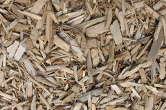 biomass boilers Coptiviney