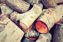 Coptiviney wood burning boiler costs